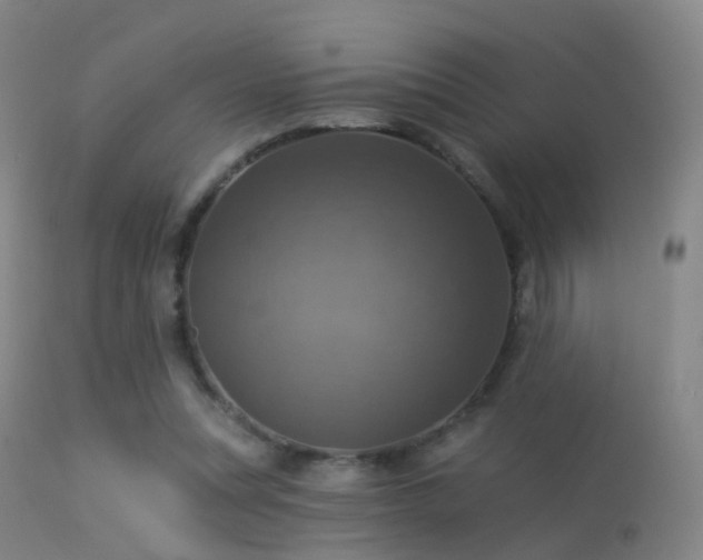 X0000113230351200909171544