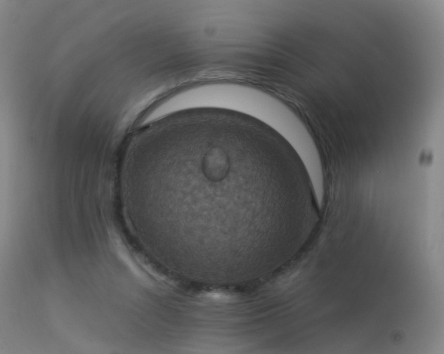 X0000113230352200909171544