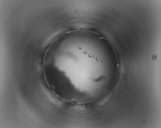 X0000113230353200909171544