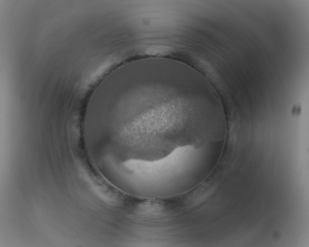 X0000113230354200909171544