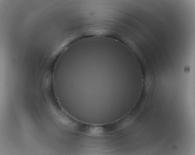 X0000113230355200909171544