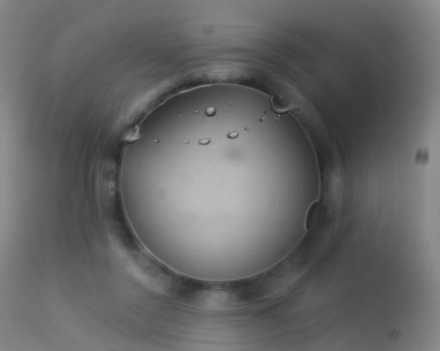 X0000113230356200909171544