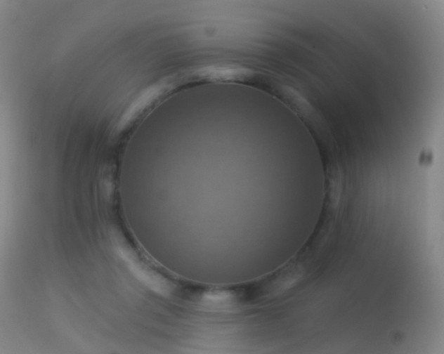 X0000113230357200909171544