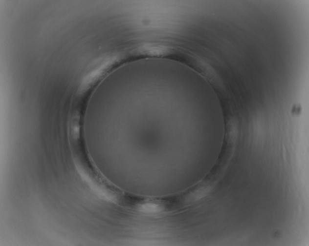 X0000113230358200909171544