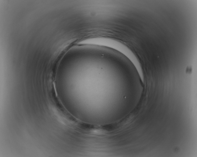 X0000113230360200909171544