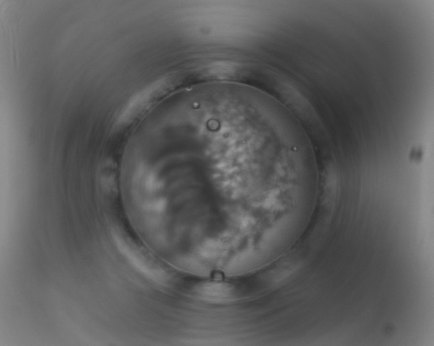 X0000113230361200909171544