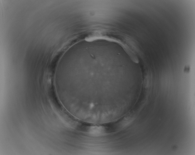 X0000113230363200909171544