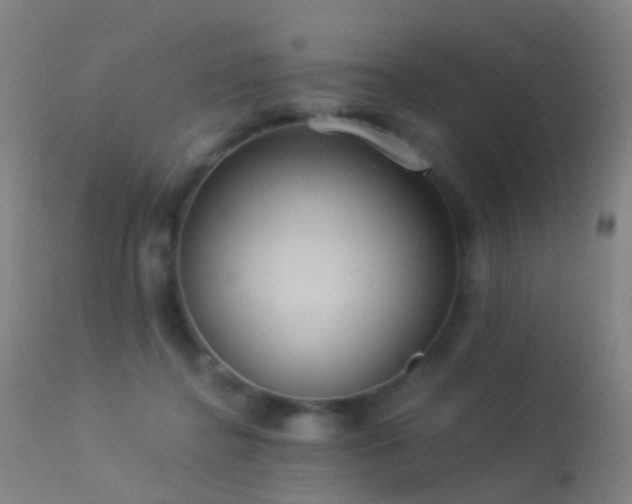 X0000113230364200909171544