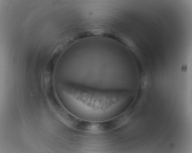 X0000113230365200909171544