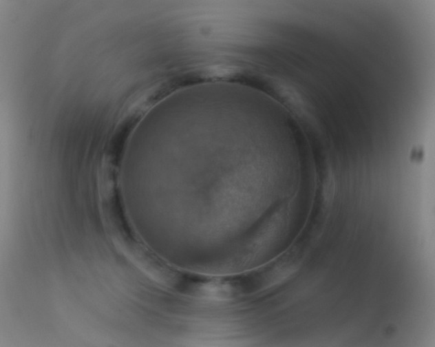 X0000113230366200909171544