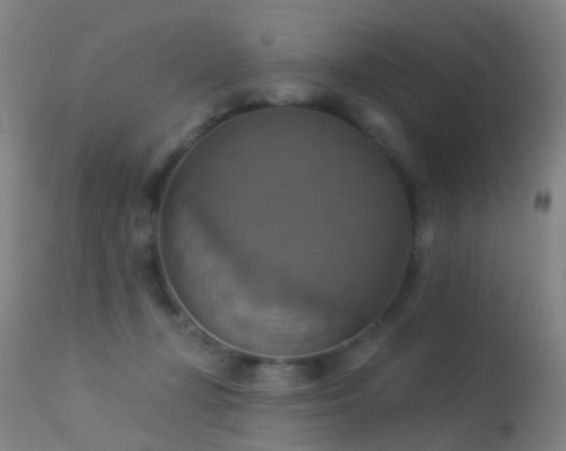 X0000113230367200909171544