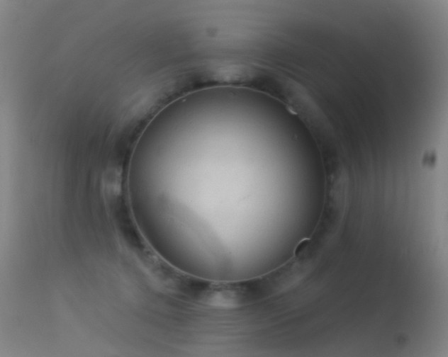 X0000113230368200909171544