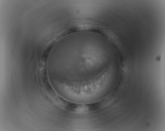 X0000113230369200909171544