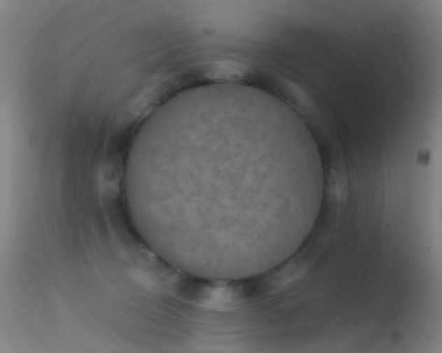 X0000113230370200909171544