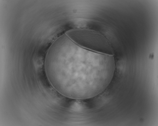 X0000113230372200909171544