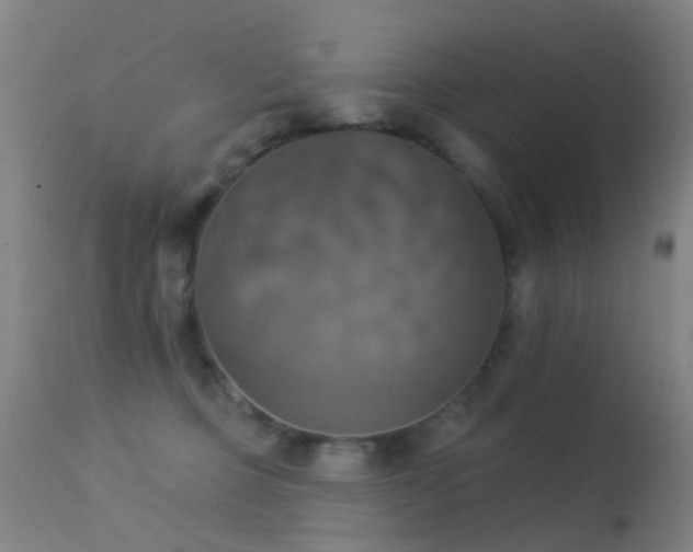 X0000113230373200909171544