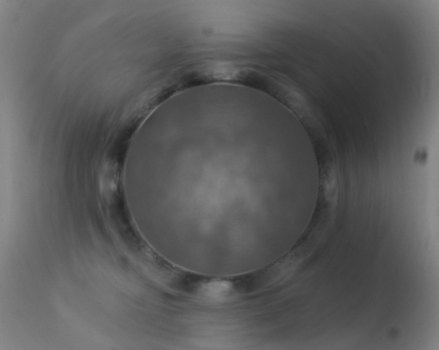 X0000113230374200909171544