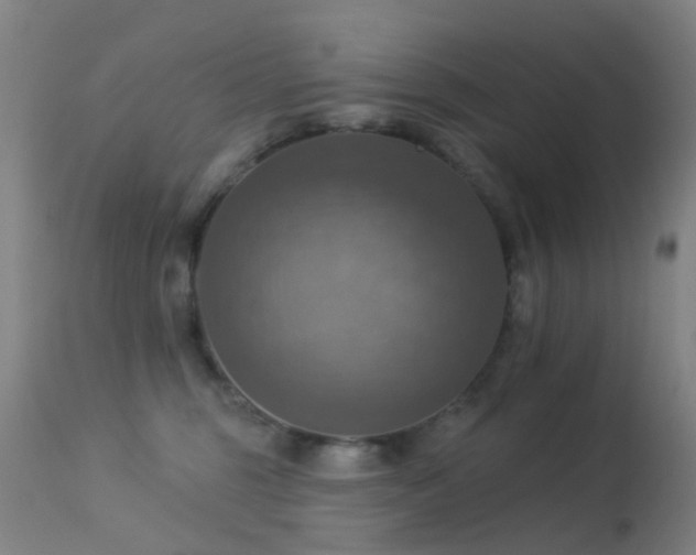 X0000113230375200909171544