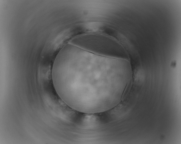 X0000113230376200909171544