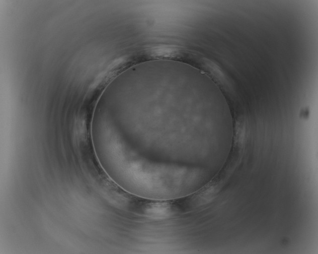 X0000113230377200909171544