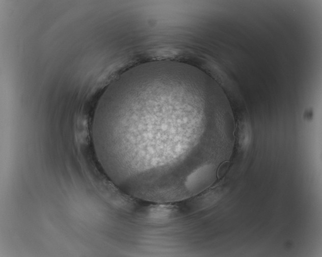 X0000113230378200909171544