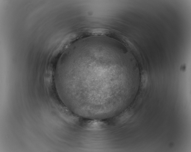 X0000113230379200909171544