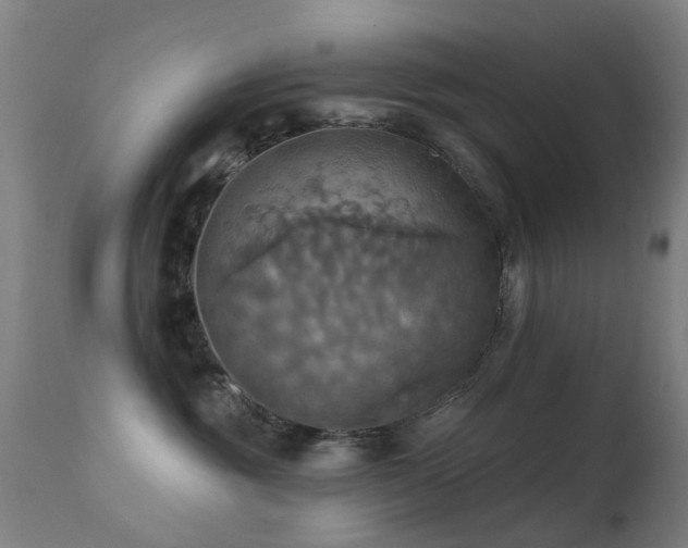 X0000113230381200909171545