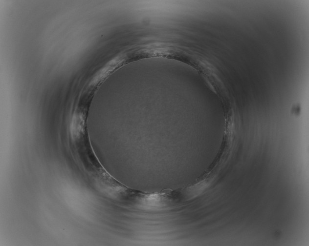 X0000113230382200909171545