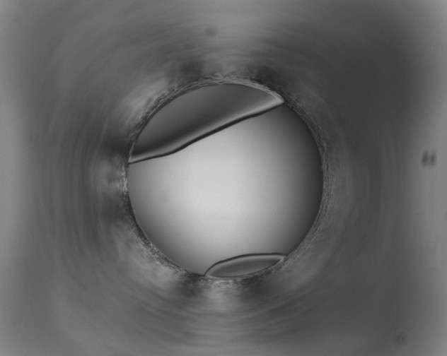 X0000113230384200909171545