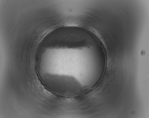 X0000113230385200909171544