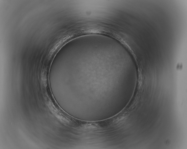 X0000113230386200909171544