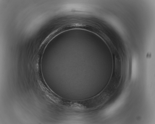 X0000113230387200909171544