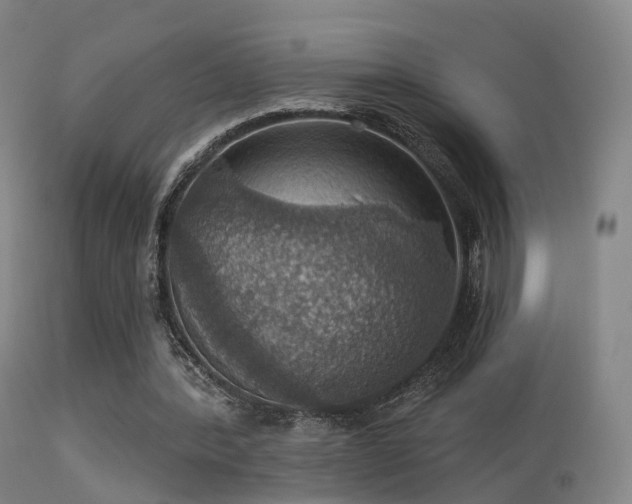 X0000113230388200909171544