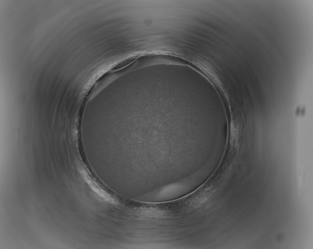 X0000113230389200909171544