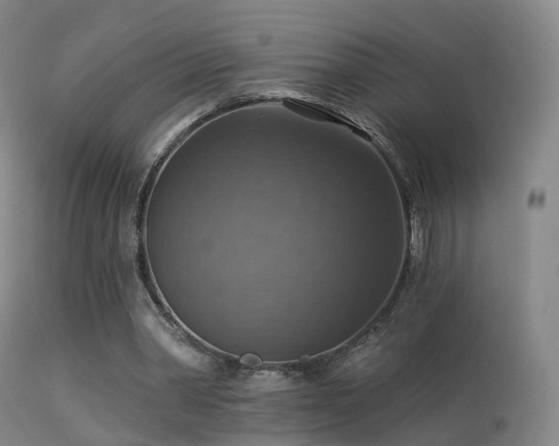 X0000113230390200909171544