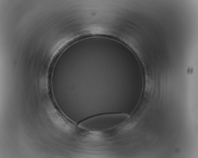 X0000113230391200909171544