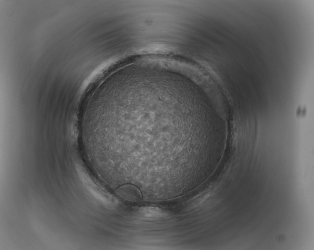 X0000113230392200909171544