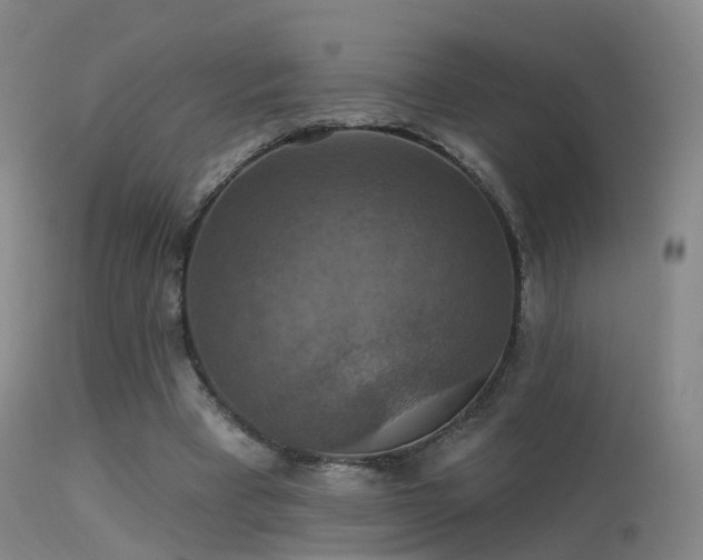 X0000113230393200909171544