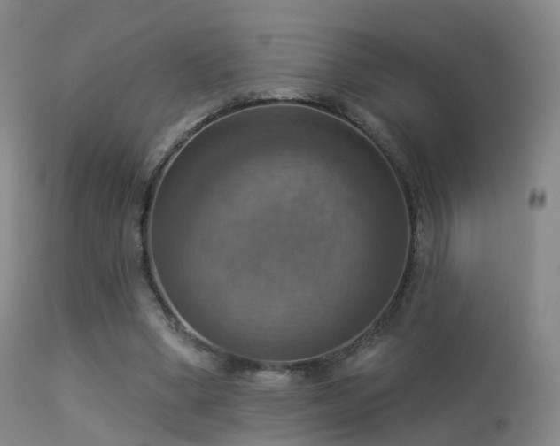 X0000113230394200909171544