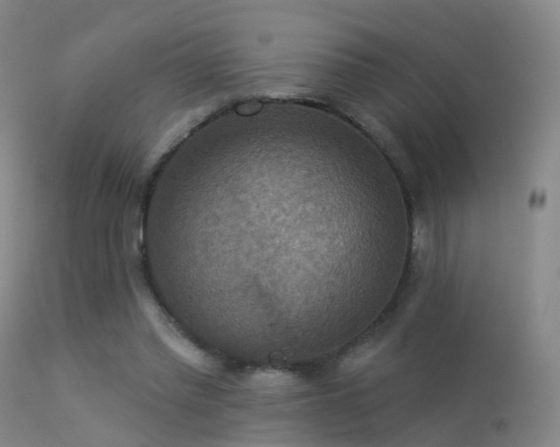 X0000113230397200909171544