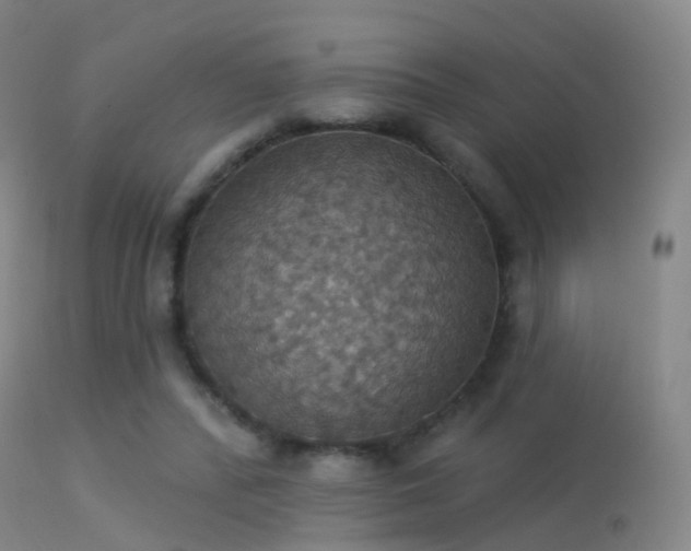 X0000113230400200909171544