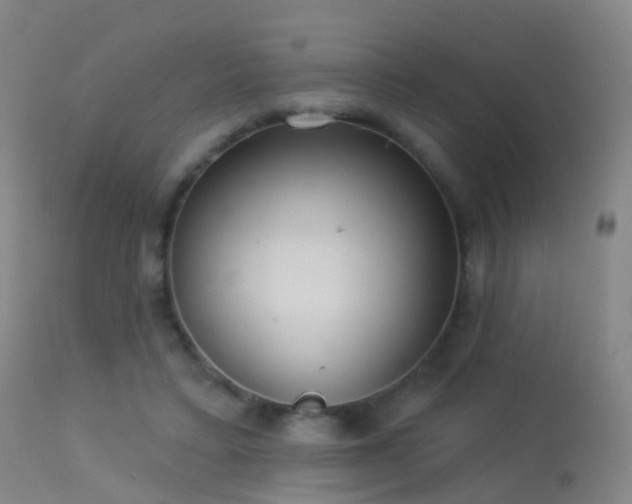 X0000113230403200909171543