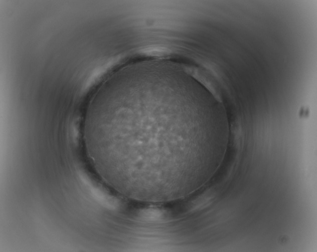 X0000113230404200909171543