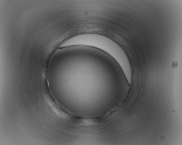 X0000113230405200909171543