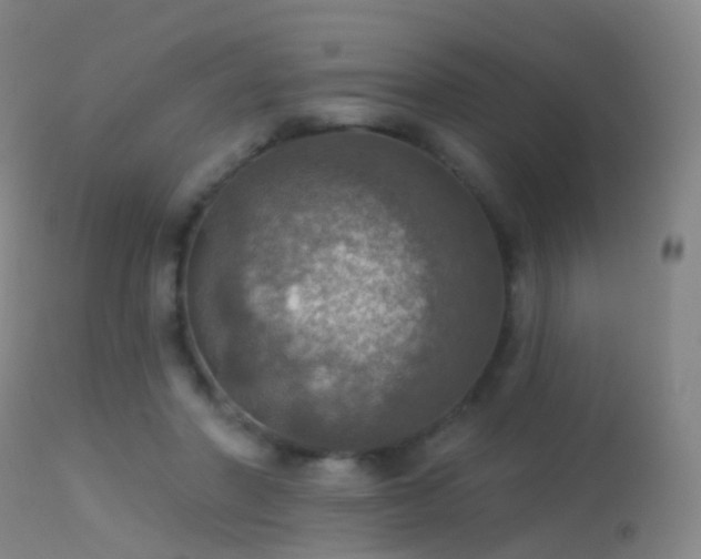 X0000113230406200909171543