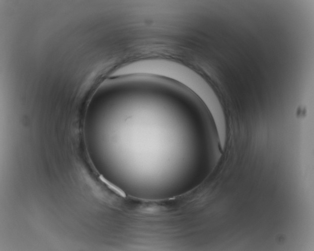 X0000113230407200909171543