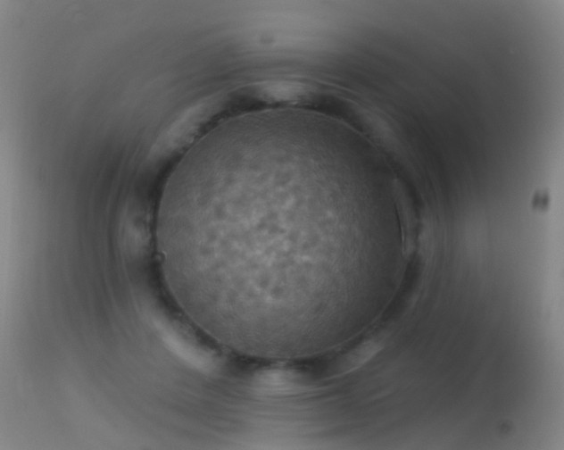 X0000113230408200909171543