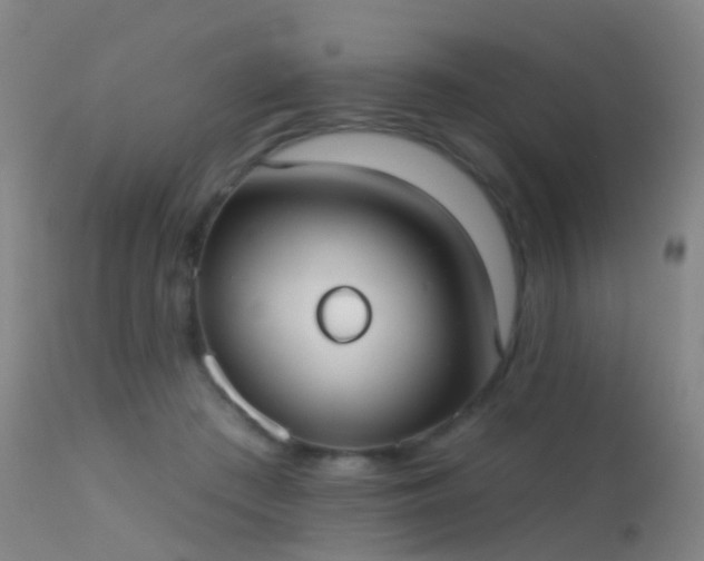 X0000113230409200909171543