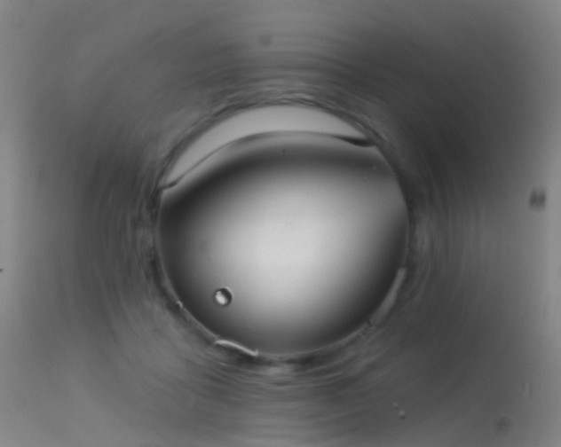 X0000113230411200909171543