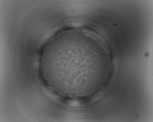 X0000113230412200909171543